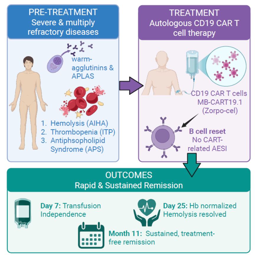 Graphical representation of the patient’s disease and treatment course from apheresis through CAR T cell reinfusion, including time lines of early treatment outcomes.
